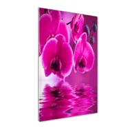 Foto gadżety - Foto obraz na szkle pionowy Różowa orchidea - miniaturka - grafika 1