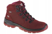 Buty trekkingowe damskie - Damskie Buty trekkingowe 4F Women's Trek OBDH253-60S r. 40 - miniaturka - grafika 1