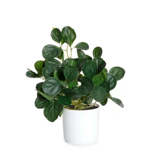 Roślina sztuczna TROPICAL ZONE pepperomia 43 cm HOMLA - Sztuczne kwiaty - miniaturka - grafika 1