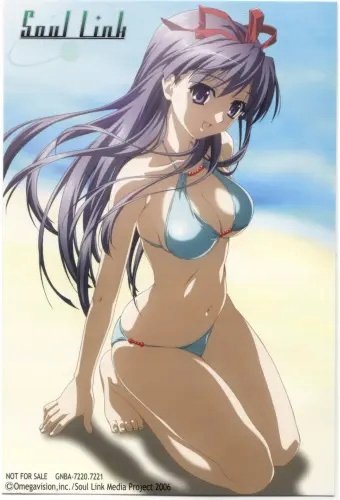 Plakat Anime Manga Soul Link sl_018 A3 (custom)