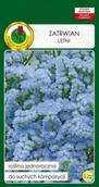 Nasiona i cebule - Zatrwian Letni Niebieski 0.2 g PNOS - miniaturka - grafika 1