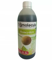 Syropy i koncentraty owocowe - Molecula Syrop o smaku melona do bubble tea 500 ml - miniaturka - grafika 1