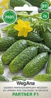 Nasiona i cebule - Ogórek konserwowy Partner mieszaniec (F1) 2g nasiona - WegAna - miniaturka - grafika 1