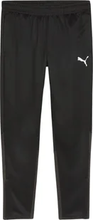 Spodnie męskie Puma Team Goal Training czarne 658639 03 L - Spodnie sportowe męskie - miniaturka - grafika 1