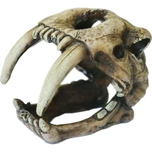 Ozdoba akwariowa czaszka happet - Dekoracje do akwarium - miniaturka - grafika 1