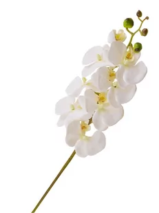 Storczyk Sztuczny Gumowy Biały Gałązka 77 Cm - Sztuczne kwiaty - miniaturka - grafika 1