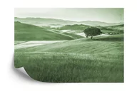 Fototapety - SK Fototapeta Rolling Hills Faded Vintage W Kolorze Zielonym emix - miniaturka - grafika 1