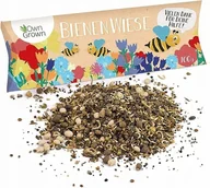 Nasiona i cebule - Owngrown Mieszanka Nasion Kwiatów, Dla Pszczół, Trzmieli 100G - miniaturka - grafika 1