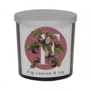 Świece - Świeca zapachowa 350g FIG LEAVES & IVY - LIŚCIE FIGI I BLUSZCZ - grafika 1