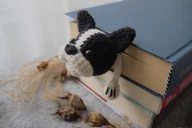 Zakładki do książek - Zakładka do Książki BULDOG - miniaturka - grafika 1