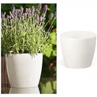 Donice - Pigmejka Osłonka do kwiatów Magnolia, biała, 25x25x22 cm - miniaturka - grafika 1