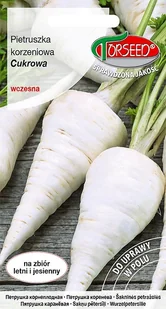 Nasiona Pietruszka korzeniowa Cukrowa 3g - Torseed - Nasiona i cebule - miniaturka - grafika 1