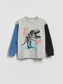 Bluzy dla chłopców - Reserved - Bawełniany longsleeve z nadrukiem - jasnoszary - miniaturka - grafika 1