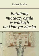 E-booki - historia - Bataliony miotaczy ognia w walkach na Dolnym Śląsku - miniaturka - grafika 1