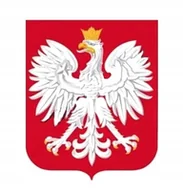 Akcesoria motoryzacyjne - Wodoodporna Naklejka Samochodowa Polska Godło Polski Orzeł W Koronie 13X11 - miniaturka - grafika 1