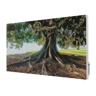 Ogrzewanie przenośne - TERMOFOL Grzejnik na podczerwień z grafiką Drzewo TF-SWT1000P - miniaturka - grafika 1