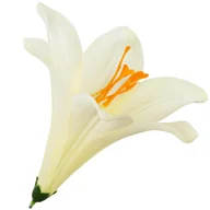Sztuczne kwiaty - [w0488] Główka kwiatowa lilia 16cm kremowa pomarańczowy środek - miniaturka - grafika 1