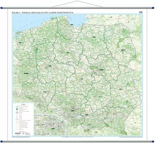 Polska - podział organizacyjny Lasów Państwowych mapa ścienna, 1:500 000 - Księgarnie ArtTarvel.pl: KRAKÓW - ŁÓDŹ - POZNAŃ - WARSZAWA EkoGraf - Atlasy i mapy - miniaturka - grafika 1