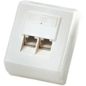 Panele krosownicze - ROLINE Surface Mount Wall Jack, Cat.5e, unshielded white 25.16.8406 - miniaturka - grafika 1