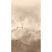 Tapety - Tapeta panoramiczna Dandelion Dmuchawce szaro-beżowa - miniaturka - grafika 1