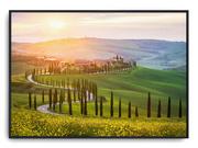 Plakaty - Plakat r B2 70x50 cm Toskania Włochy Italia Słońce - miniaturka - grafika 1