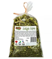 Przysmaki dla gryzoni - Alegia Koper suszony 50g przysmak dla gryzoni - miniaturka - grafika 1