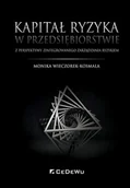 Zarządzanie - CeDeWu Kapitał ryzyka w przedsiębiorstwie - Monika Wieczorek-Kosmala - miniaturka - grafika 1