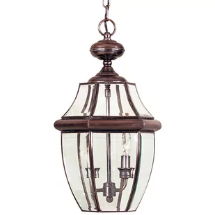 Quoizel Ogrodowa LAMPA wisząca NEWBURY QZ/NEWBURY8/L AC Elstead zewnętrzna OPRAWA zwis na łańcuchu IP44 miedź przezroczysty QZ/NEWBURY8/L AC - Lampy ogrodowe - miniaturka - grafika 1