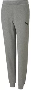 Spodnie dla dzieci Puma teamGOAL 23 Casuals Pants Jr szare 656713 33-140 - Spodnie męskie - miniaturka - grafika 1