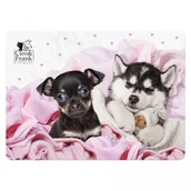 Podkładki na biurko - Podkładka laminowana Cleo i Frank 38 Pies DERFORM - miniaturka - grafika 1