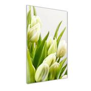 Obrazy i zdjęcia na płótnie - Obraz zdjęcie szkło akryl pionowy Białe tulipany - miniaturka - grafika 1