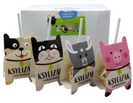 Gumy do żucia, lizaki, dropsy - Aka Lizaki czekoladowe z ksylitolem bez cukru display 12g*12szt 5908228012544 - miniaturka - grafika 1