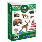 Magnesy - Mieszkańcy lasu - zestaw magnesów - Aston Active - miniaturka - grafika 1