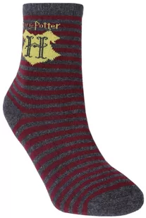 Szaro-bordowe skarpetki Harry Potter - Skarpetki dla dzieci - miniaturka - grafika 1