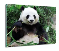 Deski do krojenia - szklana osłona kuchenna druk Panda bambus 60x52, ArtprintCave - miniaturka - grafika 1