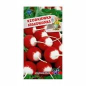 Nasiona i cebule - Rzodkiewka Krakowianka 10g / O / - miniaturka - grafika 1