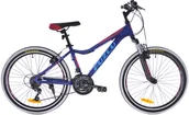 Rowery - Fuzlu Team 24 cale Niebiesko-czerwony - miniaturka - grafika 1