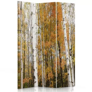 Parawan pokojowy FEEBY, Brzozowy las jesienią, Obrotowy 110x170cm 3-częściowy - Parawany - miniaturka - grafika 1