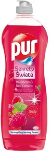 Płyn do mycia naczyń PUR Sekrety Świata Raspberry & Red Currant 750 ml - Płyny do naczyń Płyn do mycia naczyń PUR Sekrety Świata Raspberry & Red Currant 750 ml - Płyny do naczyń - miniaturka - grafika 1