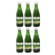 Soki i napoje niegazowane - Bio Food Seler naciowy 100% ekologiczny kiszony Zestaw 6 x 300 ml Bio - miniaturka - grafika 1