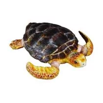 Collecta Żółw Karetta - Figurki dla dzieci - miniaturka - grafika 1