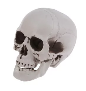 SZTUCZNA CZASZKA SZARA CIENIOWANA CZACHA HALLOWEEN NA DEKORACJA OZDOBA 20CM - Halloween - miniaturka - grafika 1