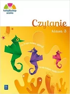 Powieści i opowiadania - Adam Brożek, Joanna Dobkowska Kalejdoskop ucznia. Czytanie kl. 3 WSiP - miniaturka - grafika 1