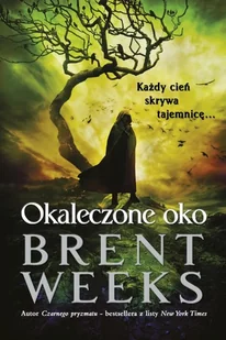 MAG Brent Weeks Powiernik światła. Księga 3. Okaleczone oko - Fantasy - miniaturka - grafika 1