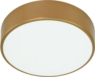 OVO plafon 2xE27 z mikrofalowym czujnikiem ruchu, 2x24W, złota stal, klosz szklany matowy, IP20, ? 300 - Lampy sufitowe - miniaturka - grafika 1