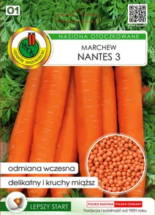 Marchew jadalna Nantes 3 300z OT. - Nasiona i cebule - miniaturka - grafika 1