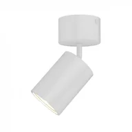Lampy sufitowe - Orlicki Design Regulowana LAMPA sufitowa Kika Mobile Bianco metalowa OPRAWA tuba downlight biały Kika Mobile Bianco - miniaturka - grafika 1