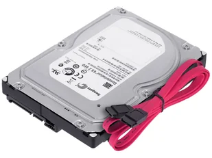 Seagate Constellation ES.2 3TB 7200RPM ST33000651NS - Dyski HDD - miniaturka - grafika 1