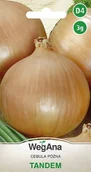 Nasiona i cebule - Cebula Tandem 3g nasiona - WegAna - miniaturka - grafika 1