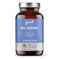Suplementy naturalne - PANASEUS Panaseus Na Zatoki 50 k YA1692 - miniaturka - grafika 1